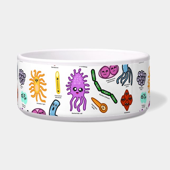 Comedero Tipos De Bacterias (Frente)