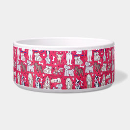 Comedero Todas las formas y tamaños