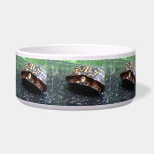 Comedero Tortuga de caja
