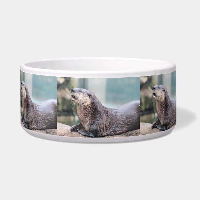 Comedero Totalmente hilarante (Frente)