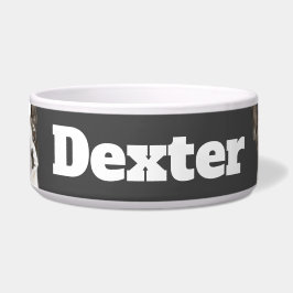 Comedero Triángulo de Boston Terrier