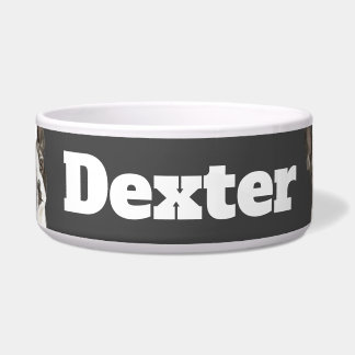 Comedero Triángulo de Boston Terrier