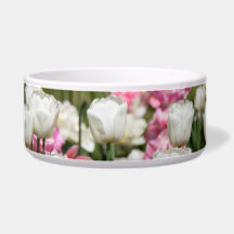 Tulipanes blancos y rosas brillantes en un día sol