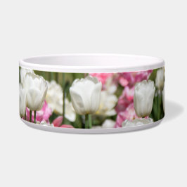 Comedero Tulipanes blancos y rosas brillantes en un día sol