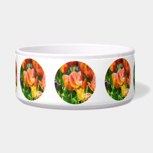 Comedero Tulipanes encantadores 17