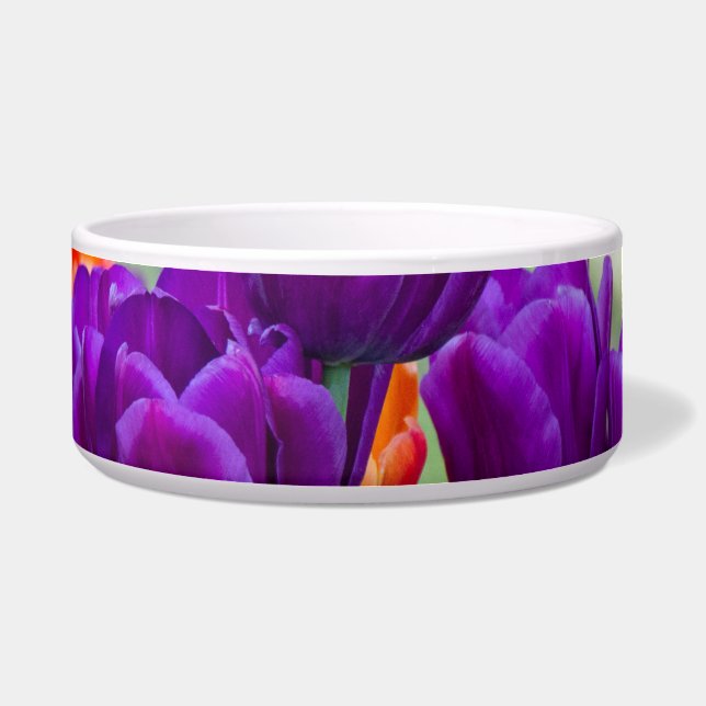 Comedero Tulipanes morados en un día soleado en el jardín (Frente)