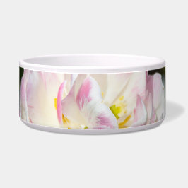 Comedero Tulipanes rosa brillante en un día soleado