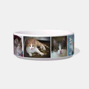 Comedero Un par de gatitos