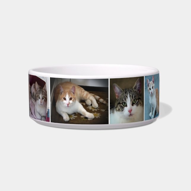 Comedero Un par de gatitos (Frente)