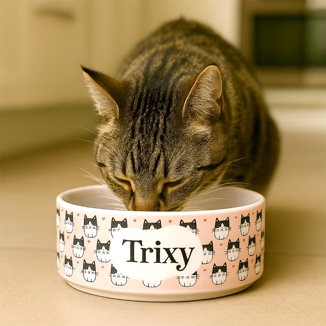 Comedero Un tazón de gatos personalizado y lindo (Personalised  cat bowl with illustrations of cats and editable name)