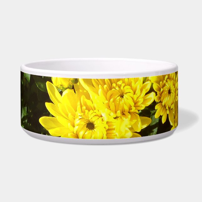 Comedero Una multitud de Mamáes amarillas (Frente)