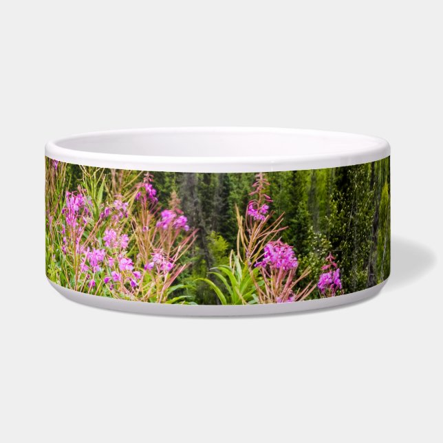 Comedero Valle de Matanuska, Alaska del Sur (Frente)