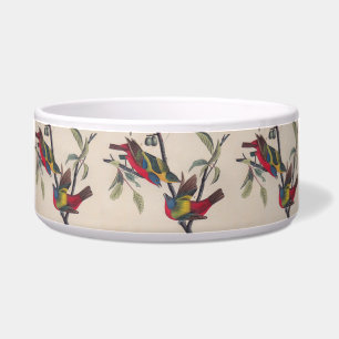 Comedero Vida silvestre de las aves de Bunting de Audubon