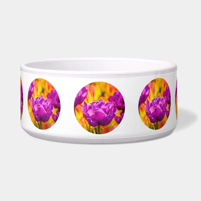 Comedero Violeta encantadora de tulipanes (Frente)