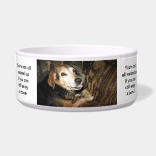 Comedero Vivaracho el beagle