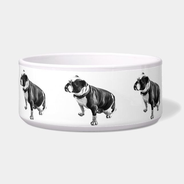 Comedero Waiting Comes Easy (Frente)