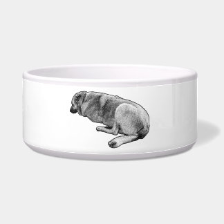 Comedero Waiting Without Hurry