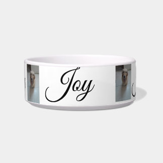 Comedero "Whisker Haven: Bolas de mascotas elegantes y prác