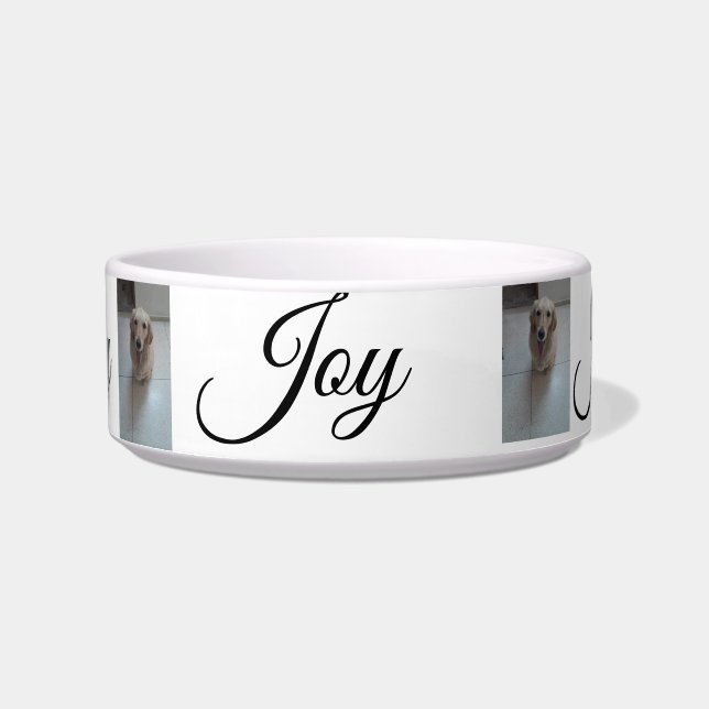 Comedero "Whisker Haven: Bolas de mascotas elegantes y prác (Frente)