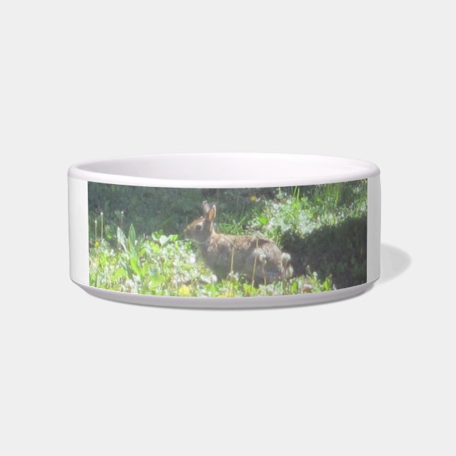 Comedero Wild Bunny Pet Bowl (Frente)