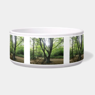 Comedero Woodland Sunshine Dog Bowl