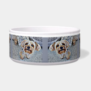 Comedero Yorkshire Terrier