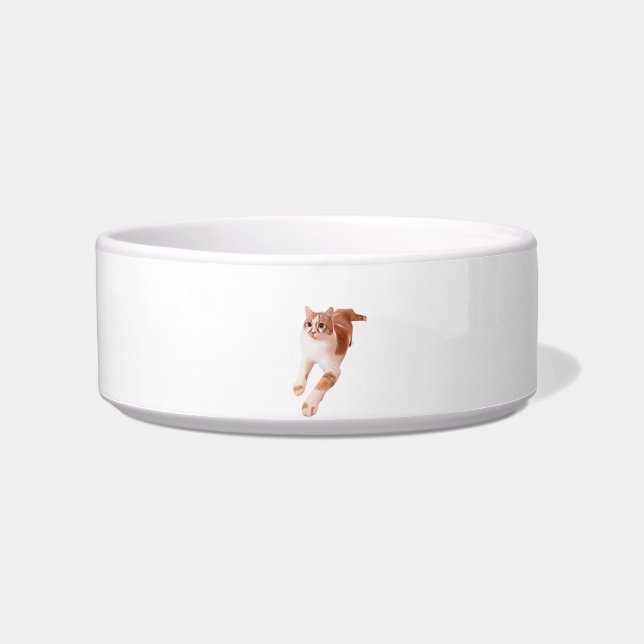 Comedero Yumyum (Frente)