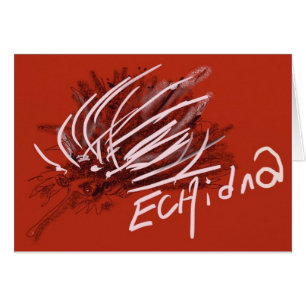 Comedor de la hormiga del erizo del puerco espín