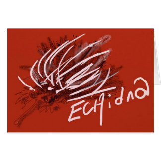 Comedor de la hormiga del erizo del puerco espín