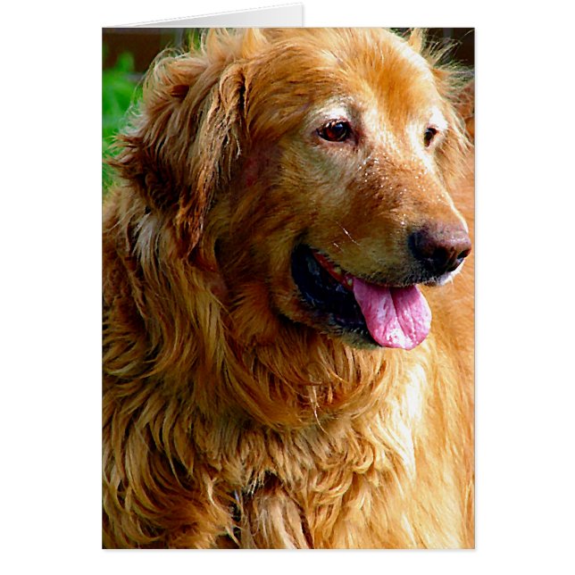 Comentar con el efecto de pintura de aceite (Frente)