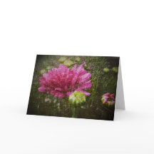 Comenzar otra vez la tarjeta de felicitación