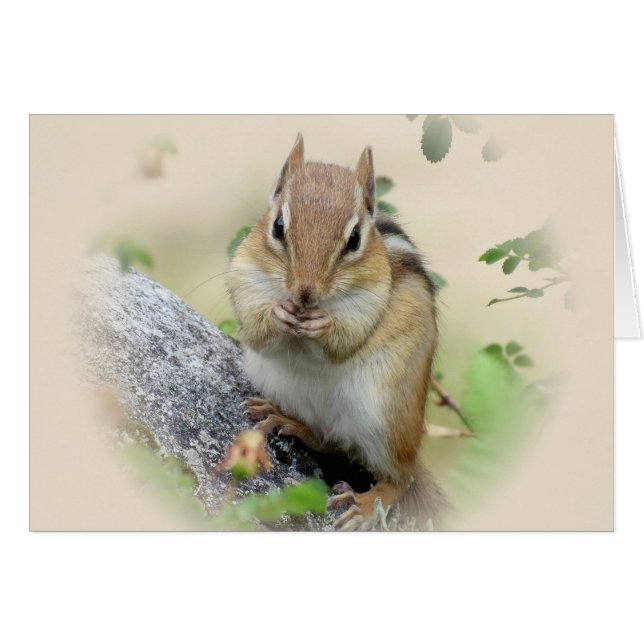 Comer Chipmunk (Anverso (Horizontal))
