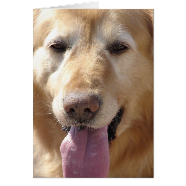 Cometa el oro (Frente)