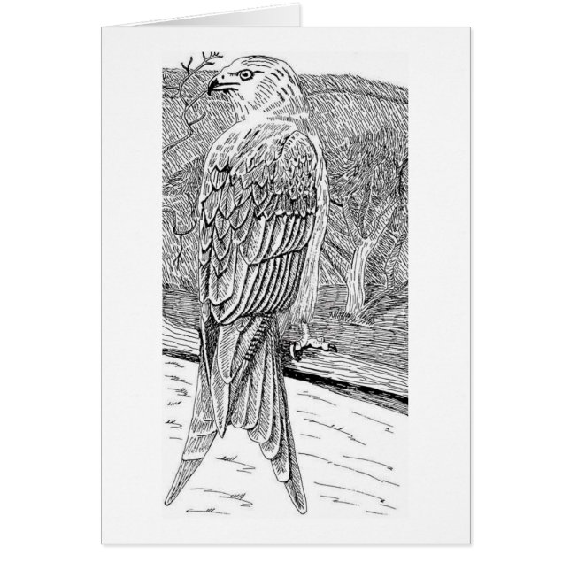 Cometa roja (Frente)