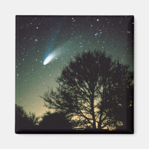 Cometa Sano-Bopp e imán del árbol