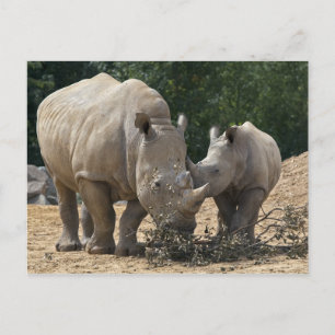 Comida con postal de Mamá