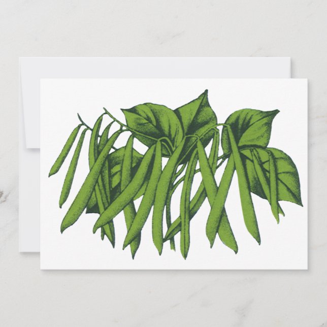 Comida de época, frijoles verdes orgánicos (Anverso)