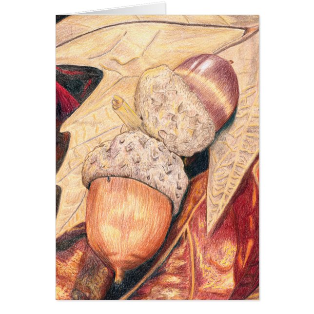 Comida de la ardilla (Frente)