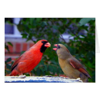 Comida de parejas cardinales