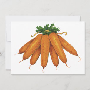Comida vintage, Bunch of Organic Carrots Vegetable