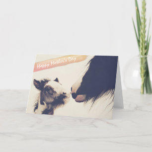 Comida y tarjeta de caballo mare feliz día de la m