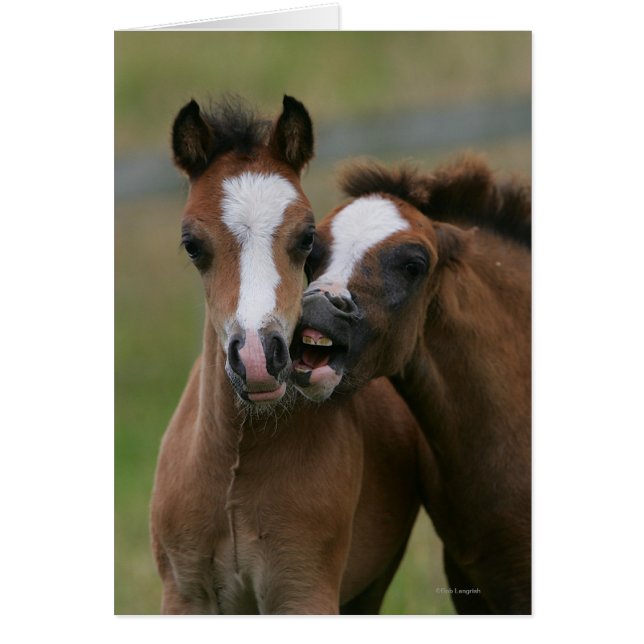 Comidas jugando (Frente)