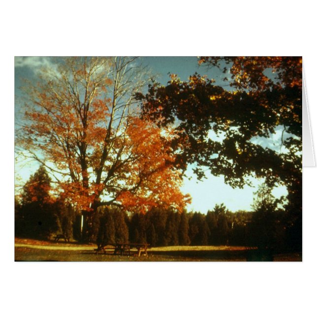 Comienza el otoño (Anverso (Horizontal))