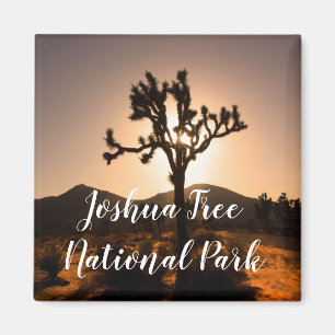 Comienza la noche en el imán Joshua Tree