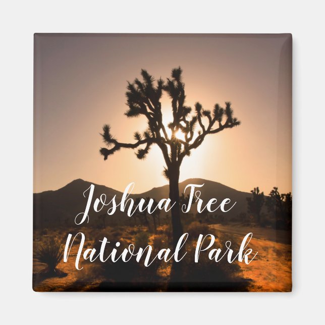 Comienza la noche en el imán Joshua Tree (Frente)