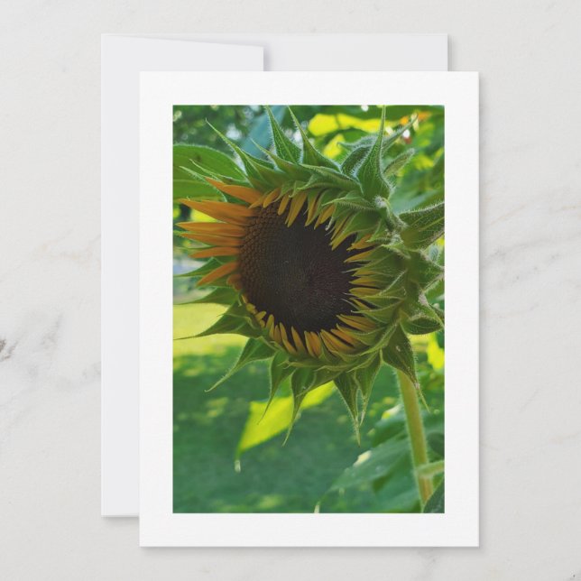 Comienzos soleados: Invitación Personalizado (Anverso)