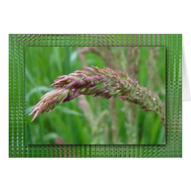 Cómo crece la carta de la hierba (Anverso (Horizontal))