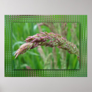 Cómo crece la impresión de hierba