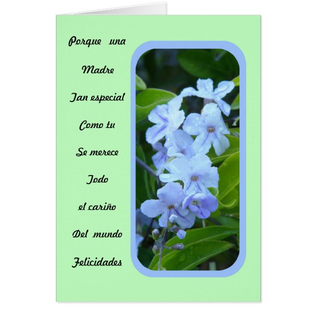 Como especial tu del moreno de Una Madre (Frente)