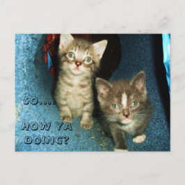 CÓMO ESTÁ HACIENDO, postal KITTY